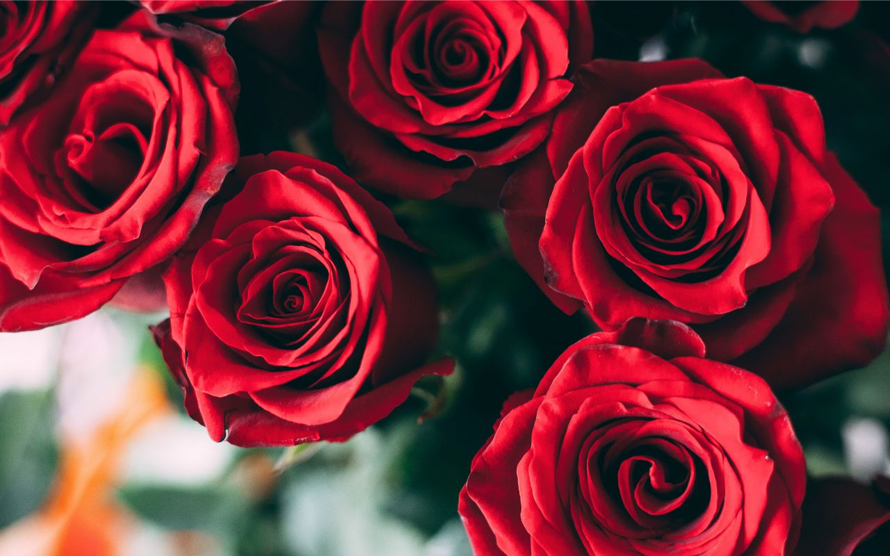 The Fibonacci Sequence: Nature’s Secret Code and Your Life’s Unfolding